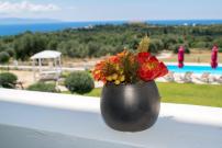 Elaias Gi Residence