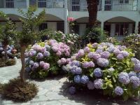Margarita Apartments
