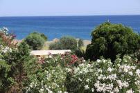 Athina