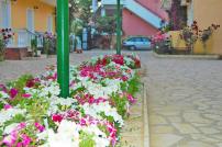 Lemon Grove Hotels And Studios