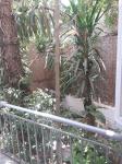 Hotel Pegasos