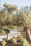 Elies Residences Luxury Apartments