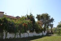 Beach House Into the Green!