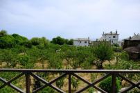Feels like home apartment in Zagora