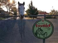 Toumba Eco Farm Guesthouses