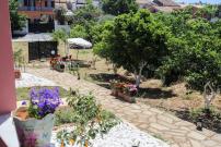 Alice's & Teo's Houses