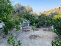 House with beautiful garden in Plomari