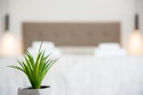 Terinikos Sunny Garden Hotel Junior Suites
