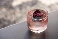 Zeus is Loose Hostel