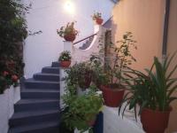 Irida Studios