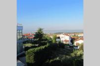 Τraditional fully detached villa on a luxurious hillock of Thessaloniki with its own garden also for family & wedding gatherings for 10 to 25 people only 15 minutes from airport