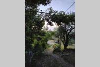 Olivia's Guest House
