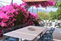 Konstantinas House, a touch of nature & sea