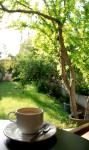 Hotel Platon