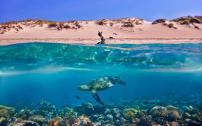 Tortuga Dafni Bay Villas Diver's Paradise by 