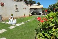 angela panorama