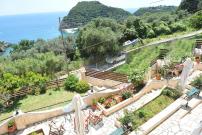 angela panorama