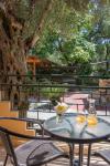 Wilde Rose Hotel