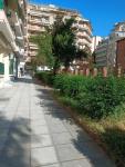 Nesting Ramblers SKG #1