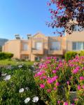 Casa Verde Houses