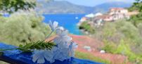 KAMINAKIA Apartments - Adults only policy - Delve into this little oasis where peace and quiet reign supreme - Sheltered by an evergreen cypress forest - Offering a large swimming pool exclusively for guests' use and breathtaking sea views from every room