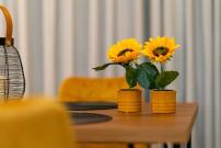 Luxury Town Center Suite, Β1