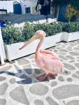 Provis rentals Suite next to the mills in Mykonos town