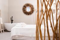 Hayes suite syros