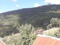 Mrs. Niki's house