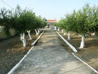Nadia's House 1