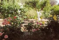 Nadia's House 1