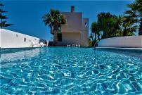 XENOS VILLA 2 with a private pool,near the sea