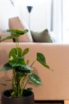 Rovertou Galli 3-5 by Athens Concept Residences