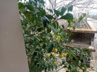 Joanna's Sunset Villa