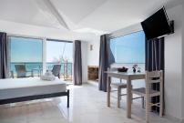 Iguana studio 18