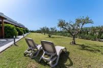 Olive Tree Garden