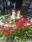 Pension Alexandros