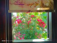 Spasmata Village Marios bungalows only adults