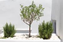 SWELL S12 new studio in Naousa