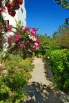 Paul's Garden Studios