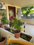 Peculiar Garden Apartment