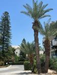 Gorgona Hotel