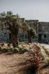 ONYM Curated Villas