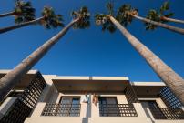 The Ritual, A Wellness Retreat