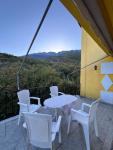 TheYellowHouse