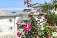 Eleni's Seaside Apartment