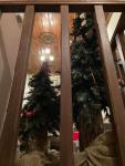 Cozy Nest House Δίκορφο Ζαγορίου