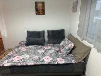 Beautiful and Remodeled Apartment 1A
