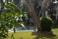 Poly's Villa Lefkada