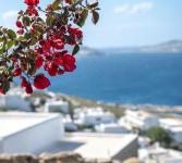 Amelie Suites Mykonos